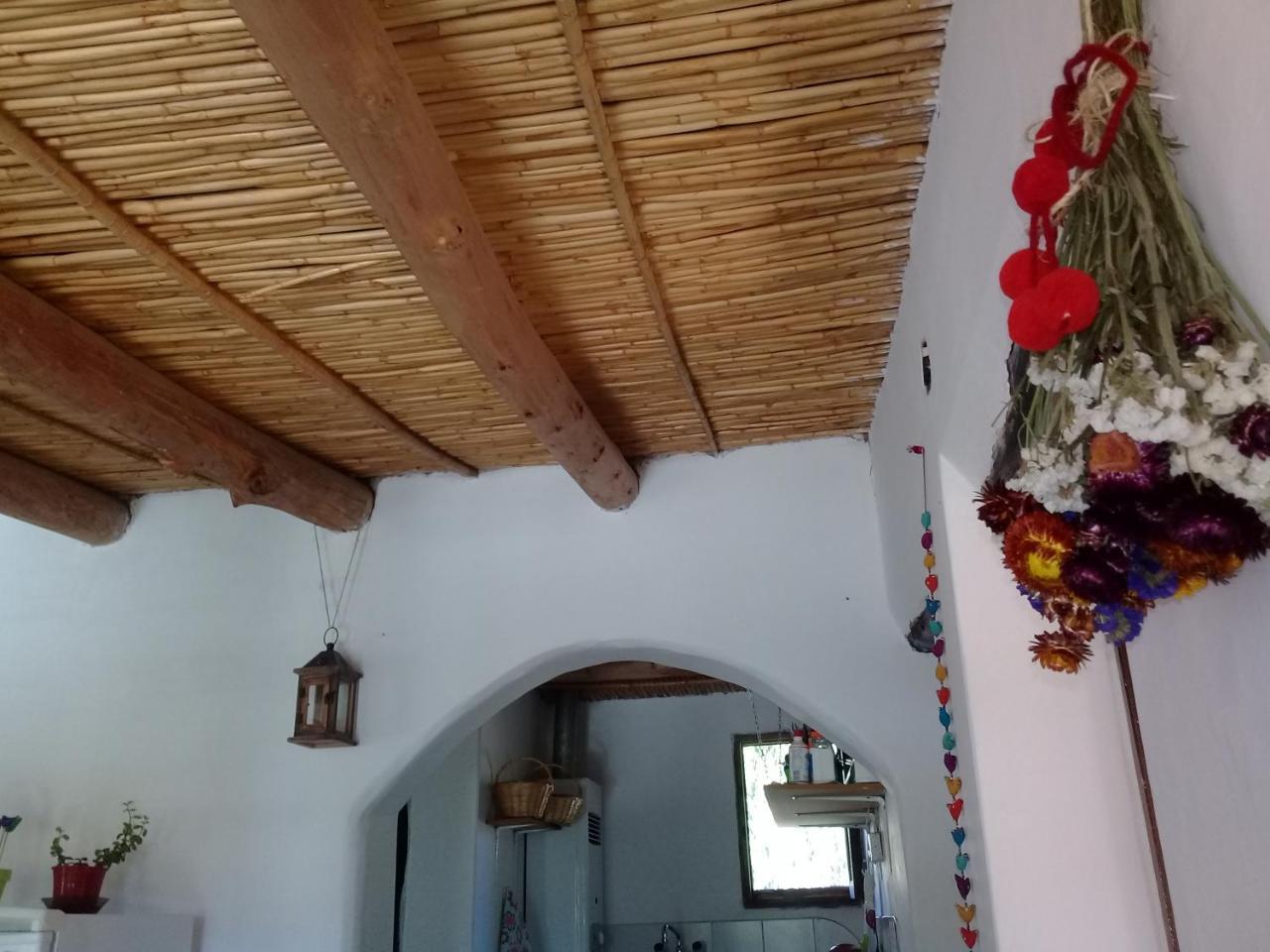 Cabana El Cardon,Casita En El Campo Quebradeno อูมาวากา ภายนอก รูปภาพ