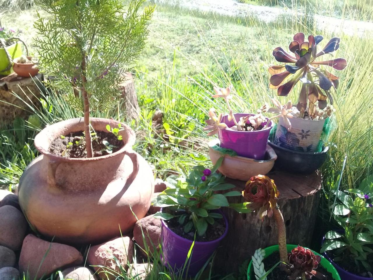 Cabana El Cardon,Casita En El Campo Quebradeno อูมาวากา ภายนอก รูปภาพ